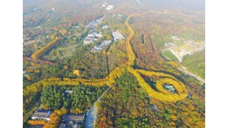Cung điện hình viên ngọc khổng lồ biểu tượng tình yêu ở Trung Quốc